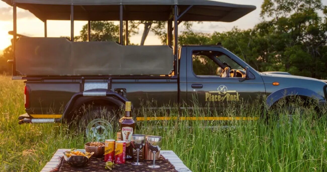 Bucket List Break ….. On Safari in South Africa - Image 6