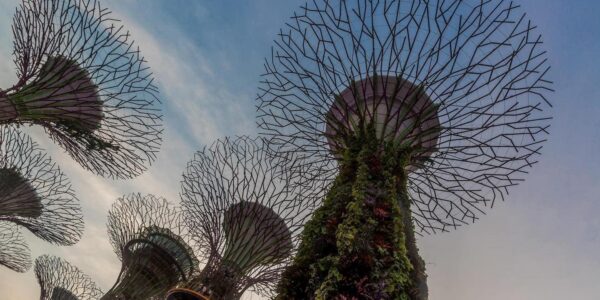 Best of Thailand and Malaysia Celebrity Cruise