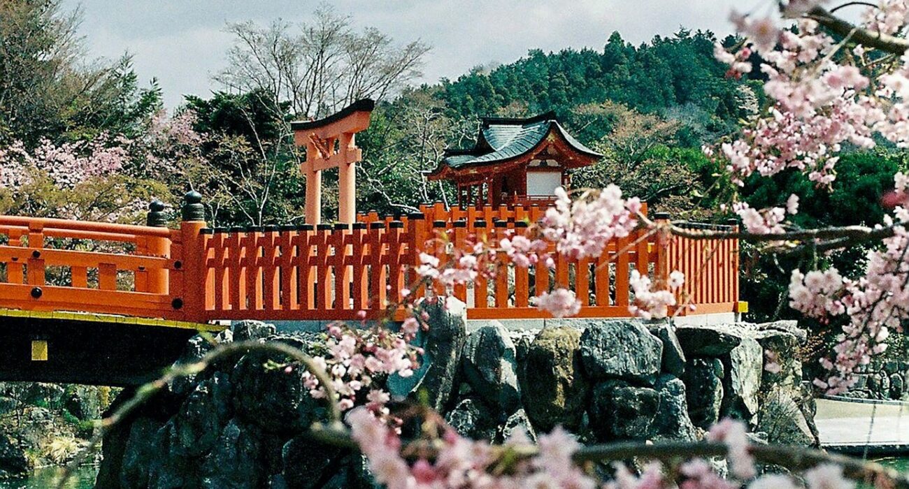 JAPAN & THAILAND MEGA NINJA ADVENTURE - Image 6