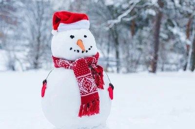 ON SALE NOW – 2027 LAPLAND SHORT BREAKS - Image 5