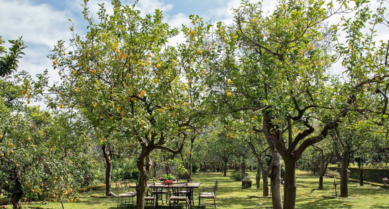 PEAK Dates Special to STUNNING Sorrento Italy - Image 4