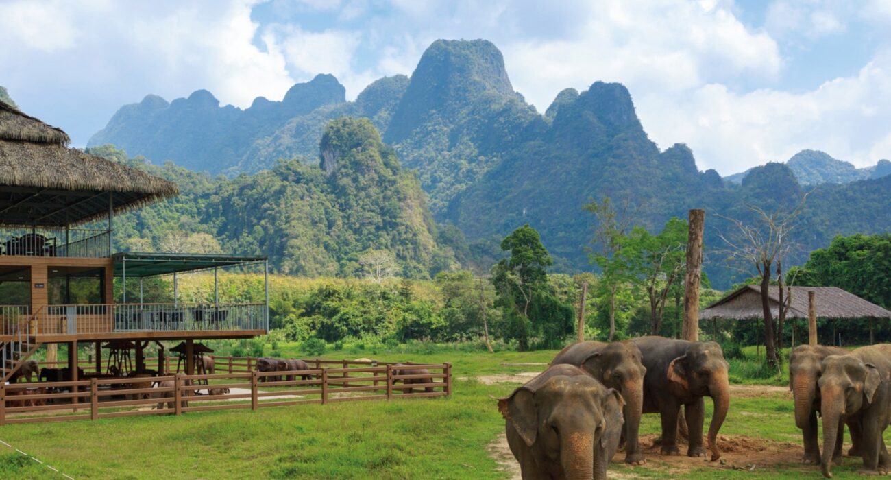 Thailand DREAM Jungle & Beach Escape - Image 1