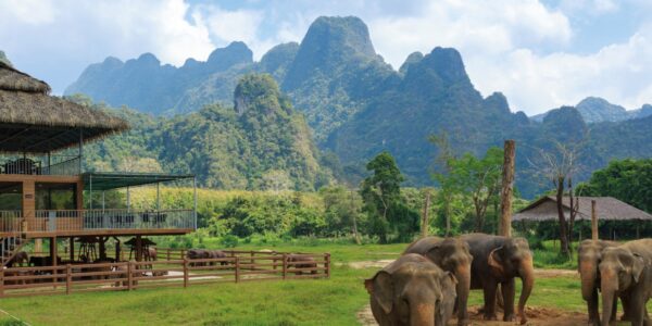 Thailand DREAM Jungle & Beach Escape