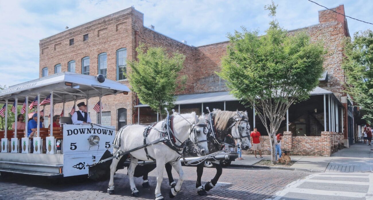 Southern Hospitality – North and South Carolina USA - Image 3