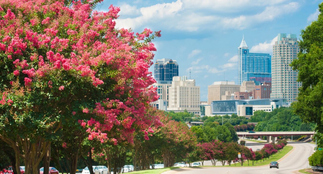 Southern Hospitality – North and South Carolina USA - Image 2