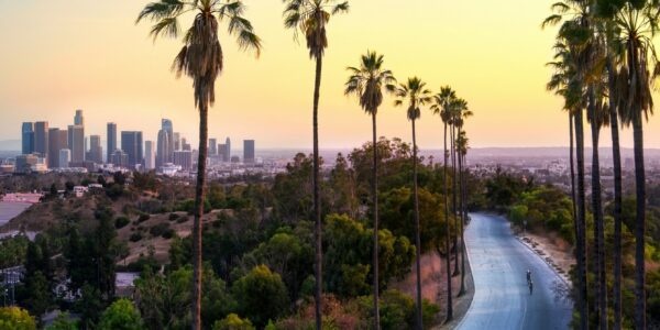 Los Angeles and Hawaiian Cruise NInja Offer