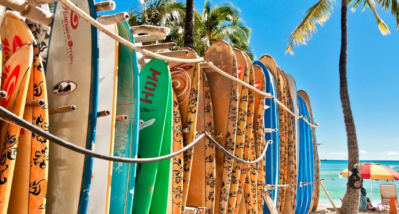 Los Angeles and Hawaiian Cruise NInja Offer - Image 3
