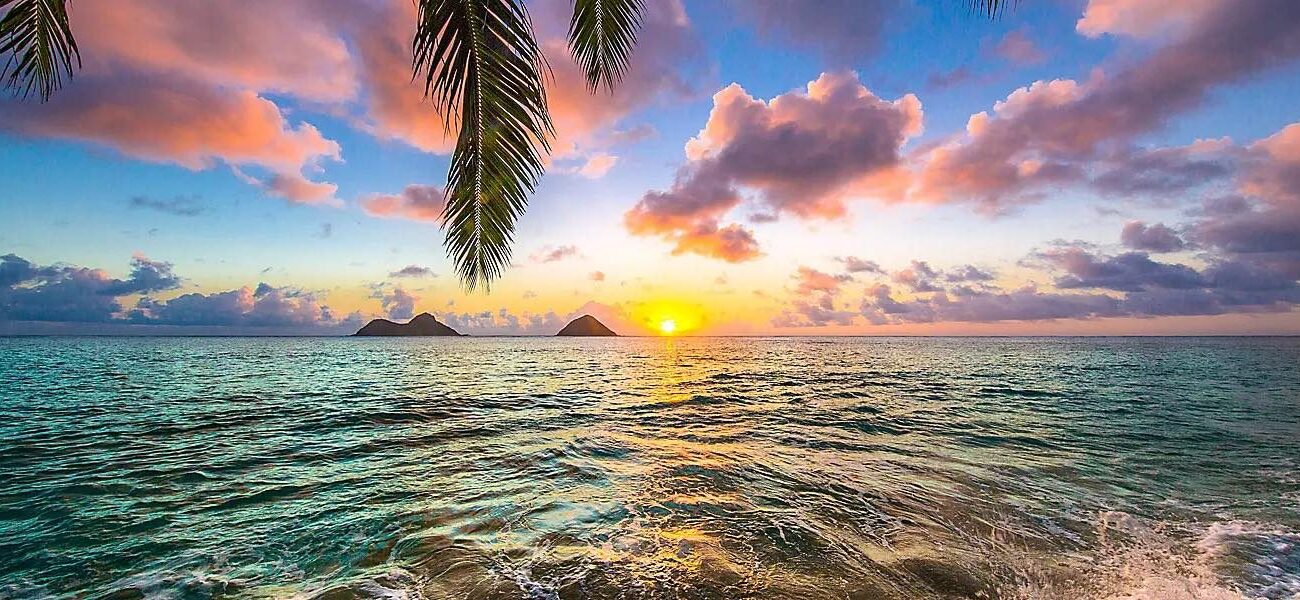 Vegas, LA, San Francisco + Hawaii Cruise Offer - Image 1