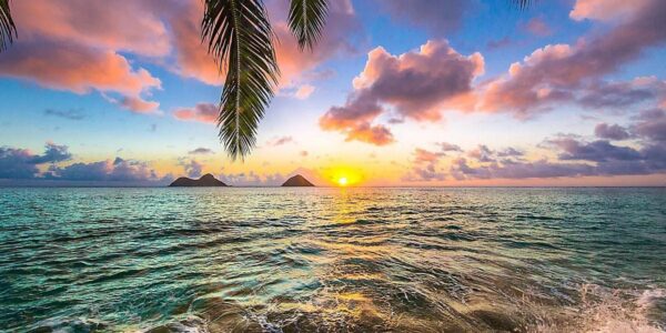 Vegas, LA, San Francisco + Hawaii Cruise Offer