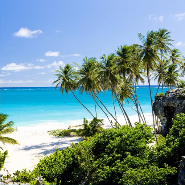 Luxury Miami, Southern Caribbean and Barbados - Image 1