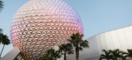 Orlando Florida USA LOW Price NInja Special