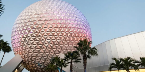 Orlando Florida USA LOW Price NInja Special