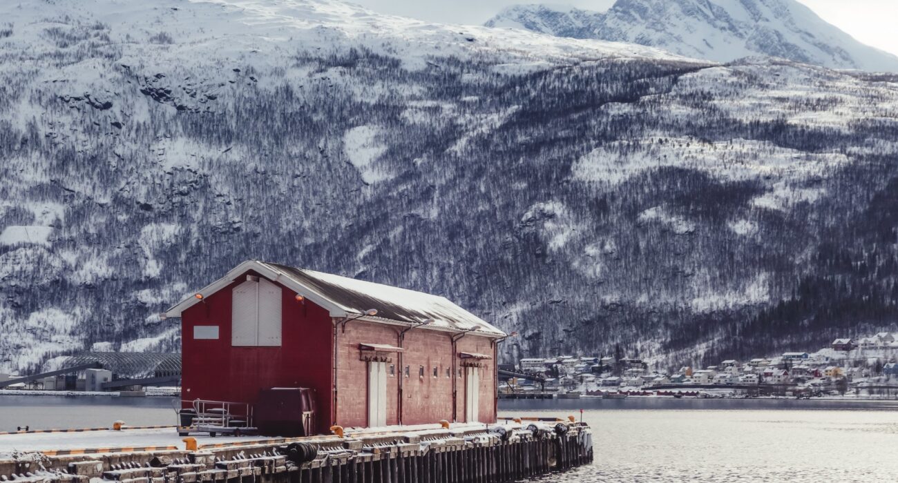 Norwegian Fjords and North Cape Cruise Offer - Image 1