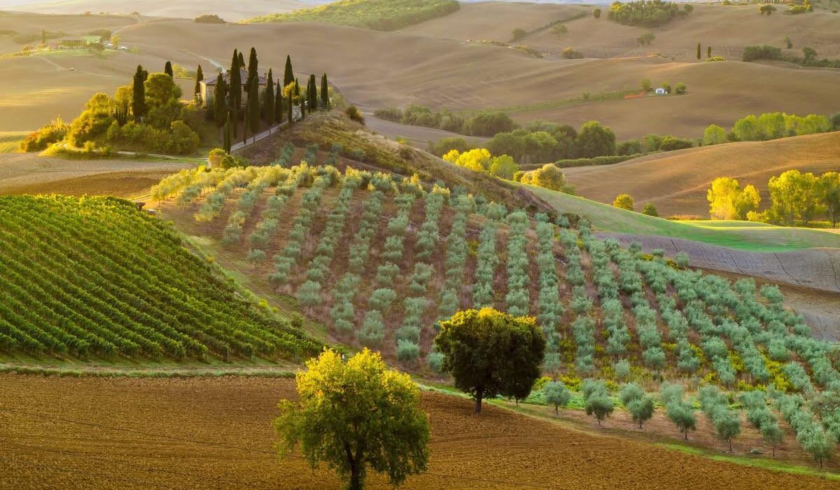Mid October Break to Tuscan Riviera Italy - Image 1
