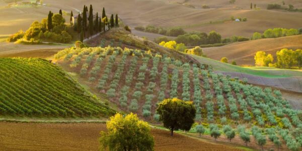 Mid October Break to Tuscan Riviera Italy