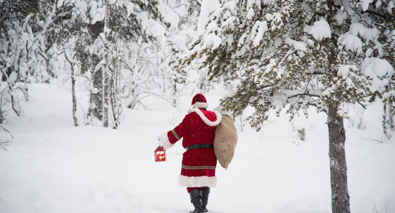 LAPLAND 2027 FROM BELFAST - Image 3