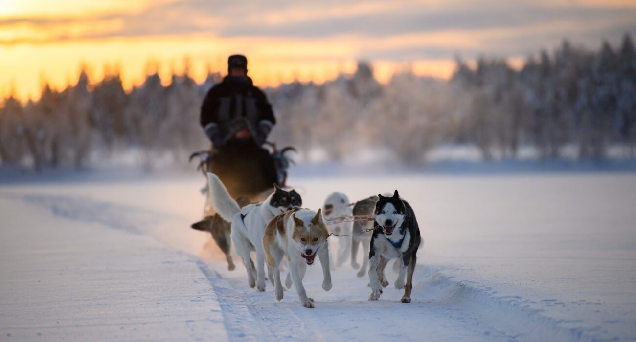 LAPLAND 2027 FROM BELFAST - Image 1