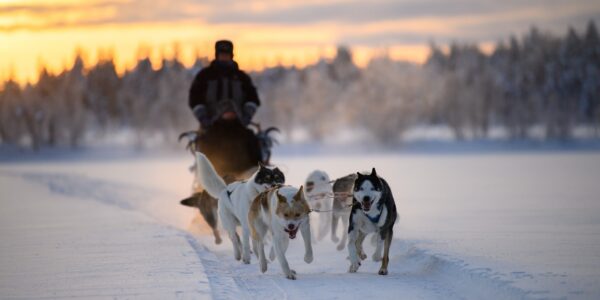 LAPLAND 2027 FROM BELFAST