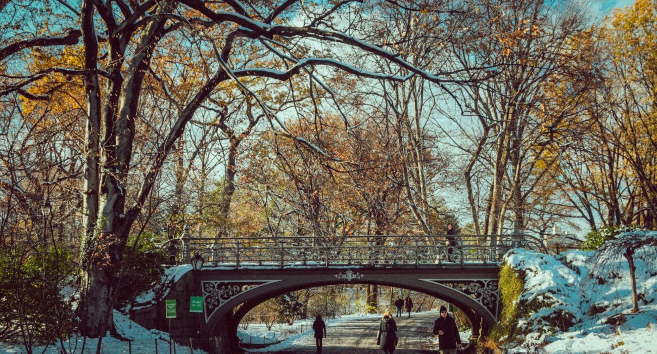 Winter 2027 Breaks to New York City USA - Image 2