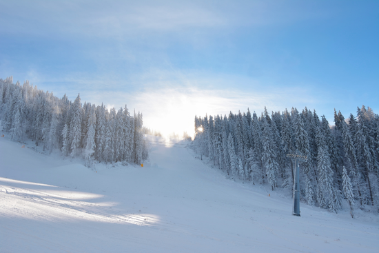 ROMANIA SKI IN TRANSYLVANIA 2027 - Image 3