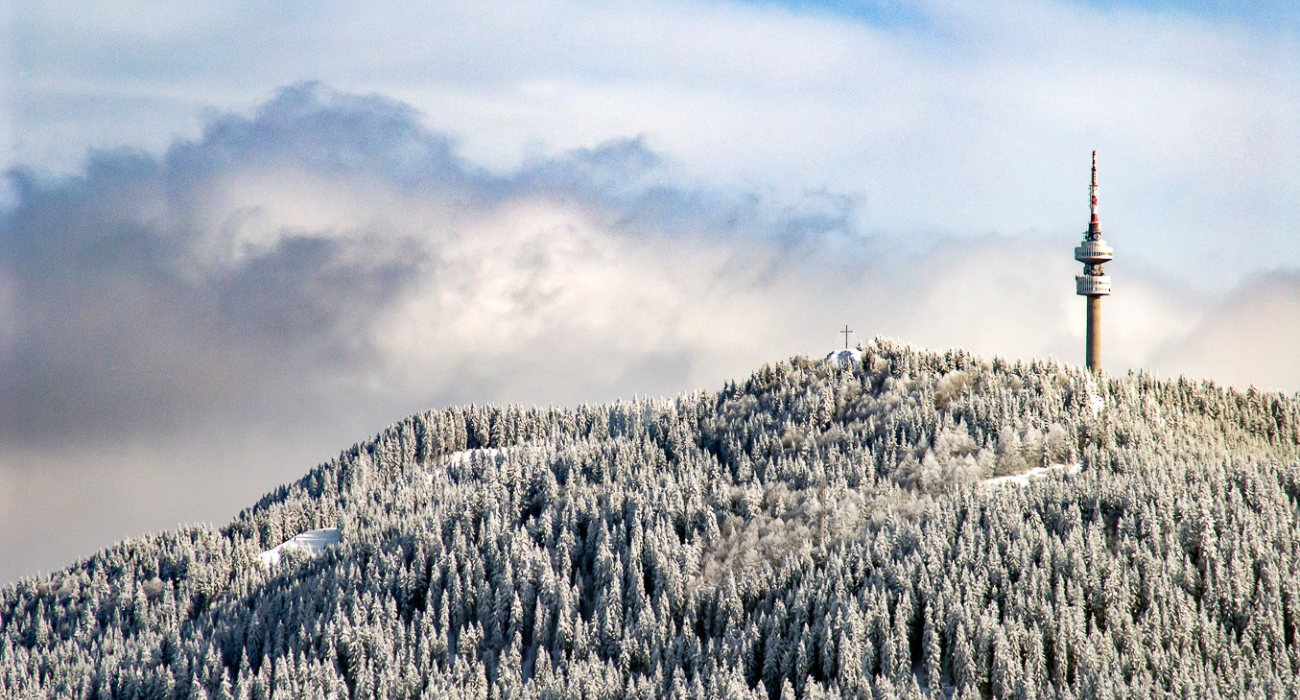 NEW YEAR ON THE PAMPOROVO SLOPES - Image 3