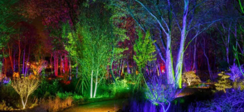 GLOW AT RHS BRIDGEWATER AND FESTIVE MARKETS TOUR 2026