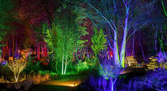 GLOW AT RHS BRIDGEWATER AND FESTIVE MARKETS TOUR 2026