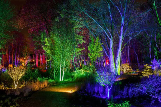 GLOW AT RHS BRIDGEWATER AND FESTIVE MARKETS TOUR 2026 - Image 1