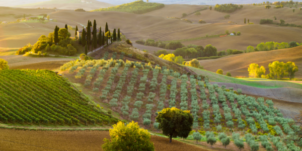 AUTUMN SPECIAL TUSCAN RIVIERA BREAK