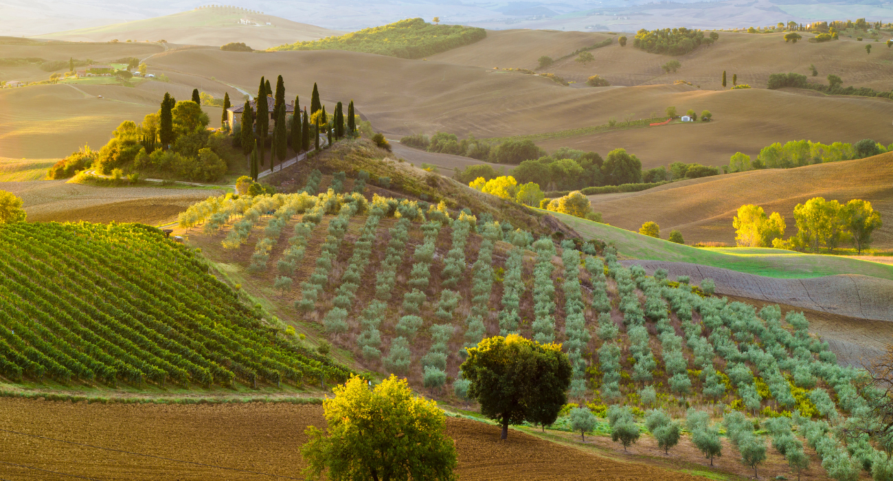 AUTUMN SPECIAL TUSCAN RIVIERA BREAK - Image 1
