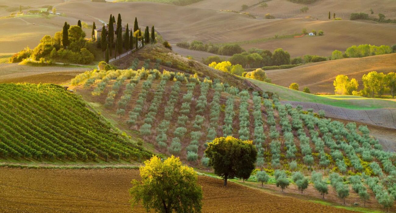TUSCAN RIVIERA ITALY HALF BOARD BREAK - Image 1