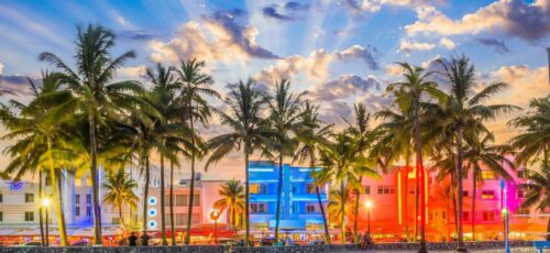 Nashville, Miami & Caribbean Cruise NInja Trio