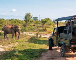 Late Year Break to Cape Town South Africa