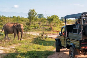 Late Year Break to Cape Town South Africa