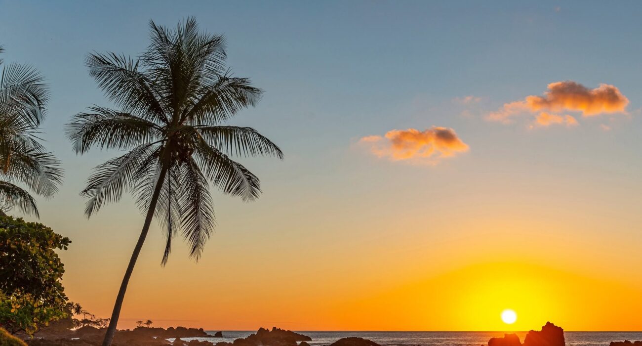 Costa Rica Special – Small Group Tour - Image 3