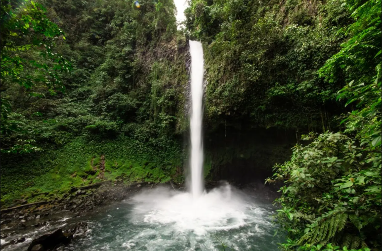Costa Rica Special – Small Group Tour - Image 4