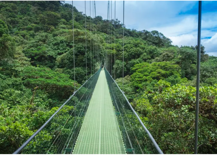 Costa Rica Special – Small Group Tour - Image 8