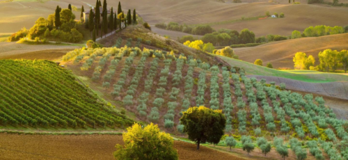 TUSCAN RIVIERA AUTUMN NINJA BREAK