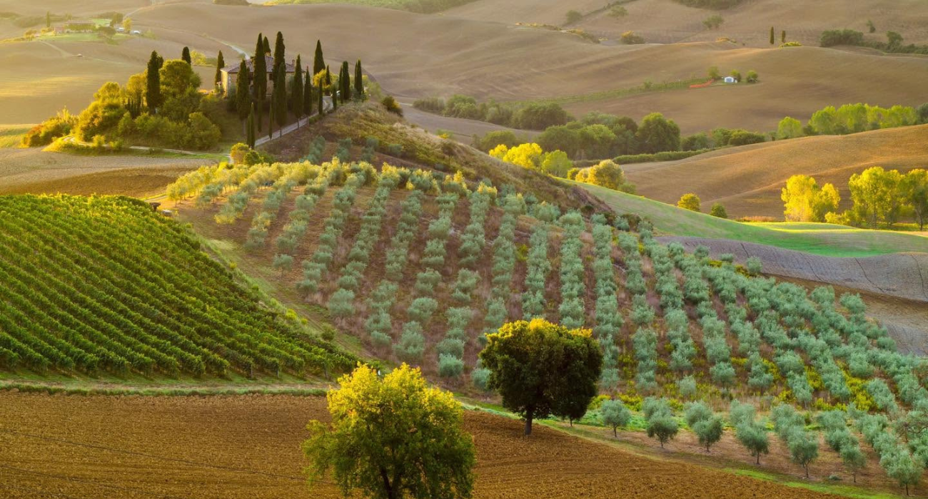 TUSCAN RIVIERA AUTUMN NINJA BREAK - Image 1