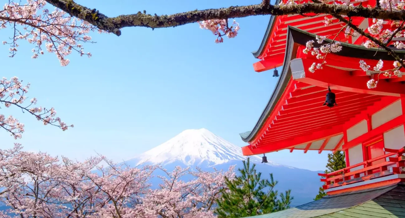 Wonders of Japan by Land & Sea – NInja Exclusive Price - Image 7