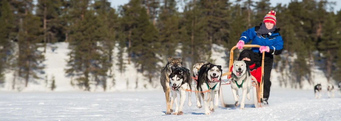 Arctic Circle Northern Lights Adventure Break - Image 2