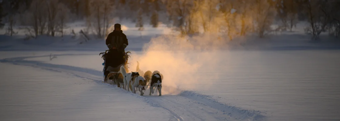 Arctic Circle Northern Lights Adventure Break - Image 4