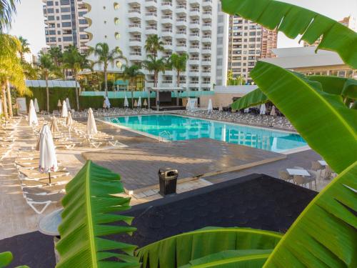 BENIDORM LONG STAY WINTERSUN SPECIAL - Image 1