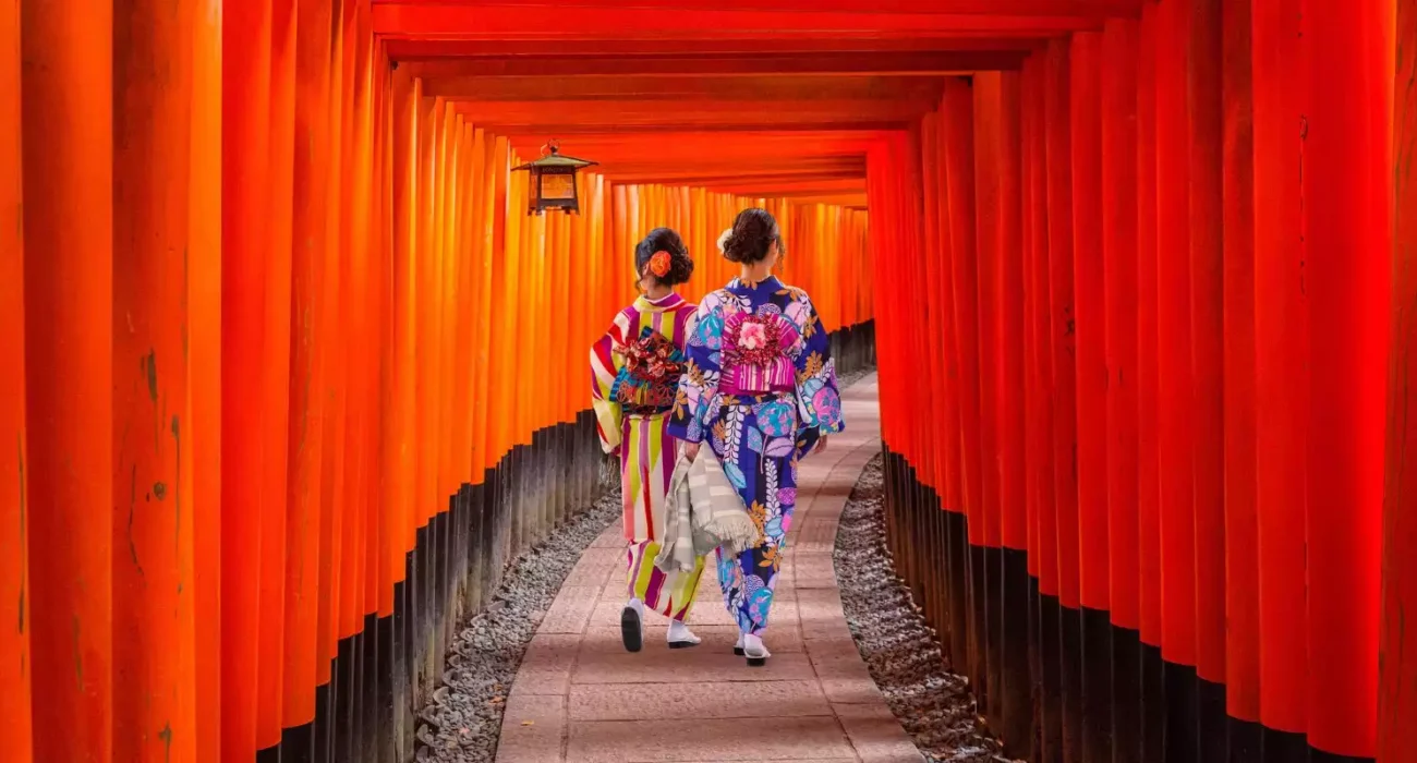 Wonders of Japan by Land & Sea – NInja Exclusive Price - Image 4