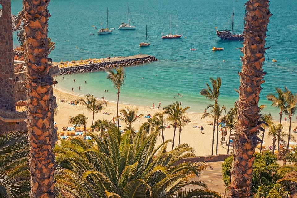Gran Canaria Summer BARGAIN Offer - Image 1