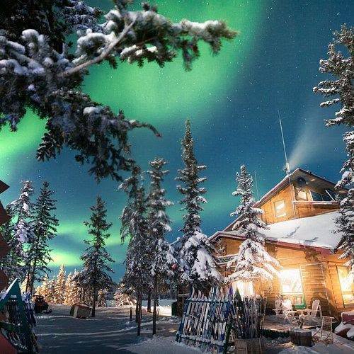 BUCKET LIST Family Lapland Experience - Image 2