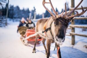 BUCKET LIST Family Lapland Experience