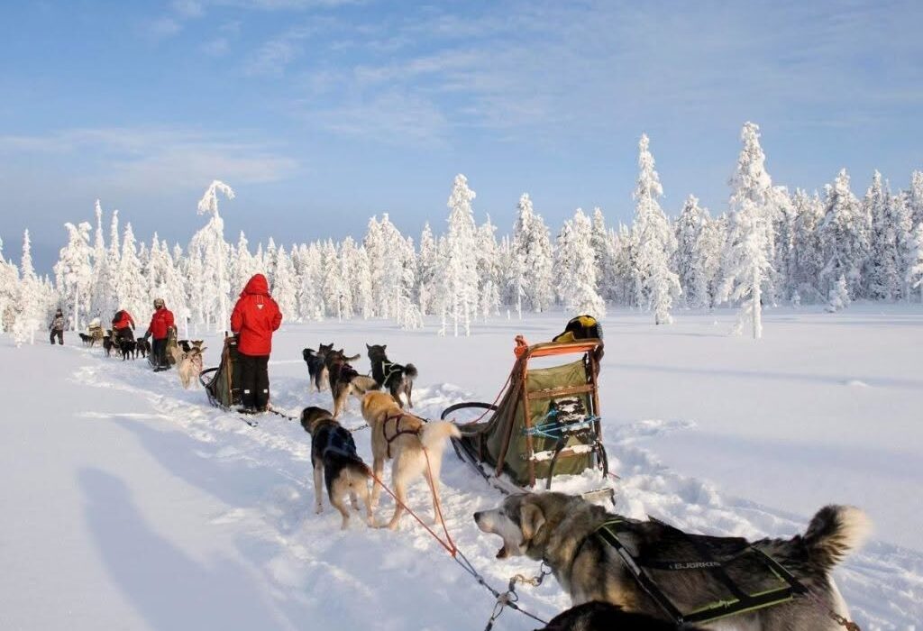 Lapland Winter Wonderland Family Day Trip - Image 1
