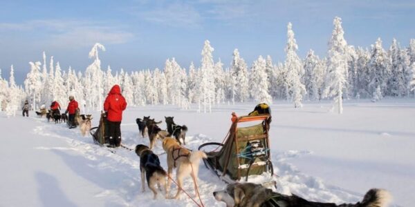 Lapland Winter Wonderland Family Day Trip