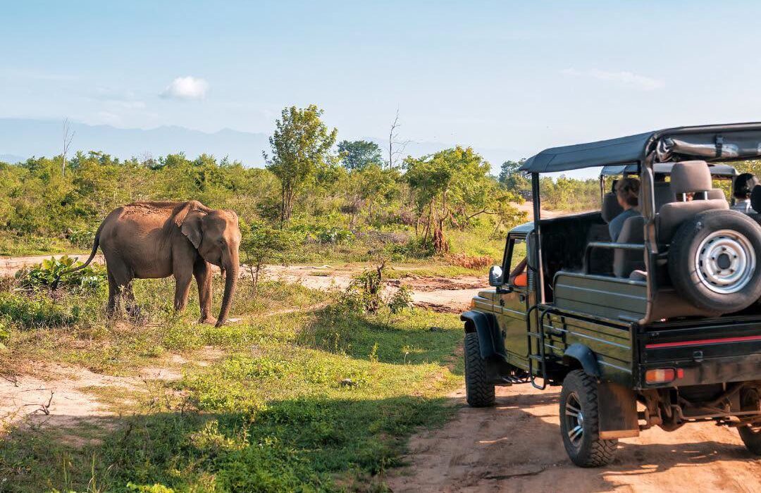 Cape Town, Safari and Winelands – South Africa - Image 1
